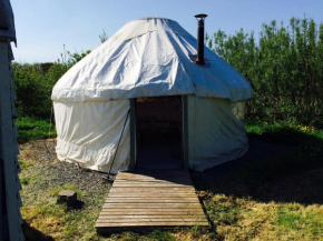 Mill Haven Place glamping-yurt 2